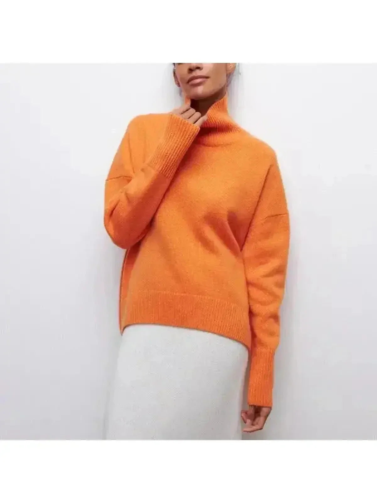 Bequia Turtleneck Knit Sweater